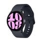 Samsung Galaxy Watch6 40mm BT Graphite SM-R930NZKAEUB цена и информация | Nutikellad, laste nutikellad | hansapost.ee