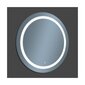 Peegel valgustusega Venti Ring, hõbedane värv hind ja info | Peeglid vannituppa | hansapost.ee