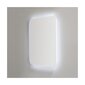 Peegel valgustusega Dubiel Vitrum Senso, 60x80cm, hõbedane värv hind ja info | Peeglid | hansapost.ee