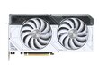 Asus Dual GeForce RTX 4070 White Edition (DUAL-RTX4070-12G-WHITE) цена и информация | Videokaardid | hansapost.ee