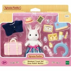 Кукла Sylvanian Families 5641 Показатели деятельности цена и информация | Epoch Игрушки | hansapost.ee