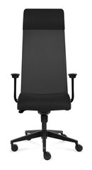 Офисное кресло Tronhill Solium Executive цена и информация | Офисные кресла | hansapost.ee