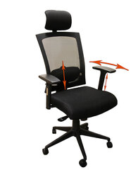 Офисное кресло Virginia цена и информация | Офисные кресла | hansapost.ee