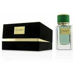 Parfüümvesi Dolce & Gabbana Velvet Cypress EDP unisex, 50 ml hind ja info | Parfüümid naistele | hansapost.ee