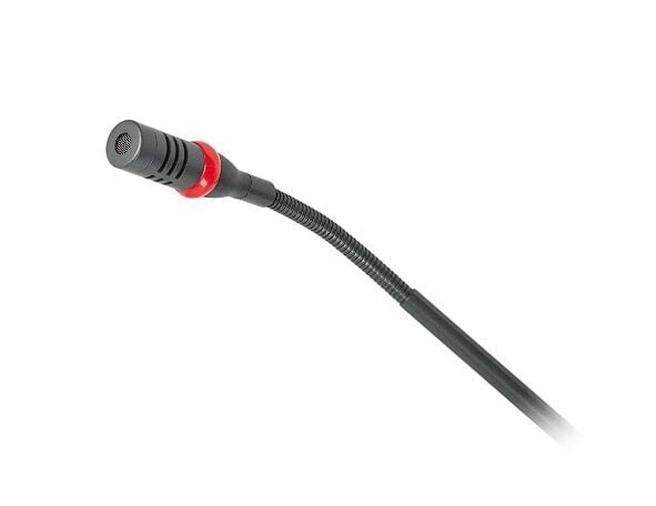 Azusa D-30 цена и информация | Mikrofonid | hansapost.ee