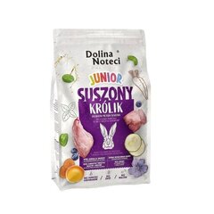 Dolina Noteci Premium Junior noortele koertele küülikulihaga, 1 kg hind ja info | Dolina Noteci Lemmikloomatarbed | hansapost.ee