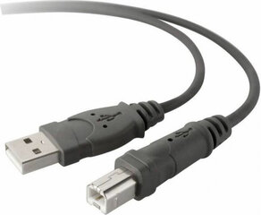 Belkin, USB-A/USB-B, 3 m hind ja info | Juhtmed ja kaablid | hansapost.ee