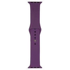 Beline pasek Apple Watch Silicone 42|44|45|49mm fioletowy |purple цена и информация | Аксессуары для смарт-часов и браслетов | hansapost.ee
