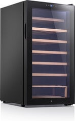Ströme JC-98 цена и информация | Винные холодильники | hansapost.ee