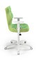 Ergonoomiline lastetool Entelo Good Chair Duo ST29, valge/roheline цена и информация | Kontoritoolid | hansapost.ee