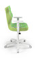 Ergonoomiline lastetool Entelo Good Chair Duo ST29, valge/roheline hind ja info | Kontoritoolid | hansapost.ee