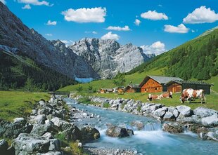 Пазл Ravensburger Австрийские горы, 1000 дет. цена и информация | Пазлы | hansapost.ee