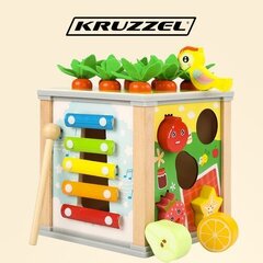 Arendav kuubik Kruzzel hind ja info | Beebide mänguasjad | hansapost.ee