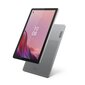 Lenovo Tab M9 LTE 4/64GB Arctic Grey ZAC50173PL цена и информация | Tahvelarvutid | hansapost.ee