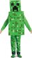 Disguise kostüüm Minecraft Creeper Fancy, 4-6 aastastele цена и информация | Kostüümid ja maskid | hansapost.ee