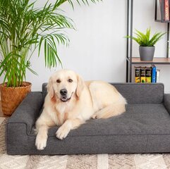 Лежак Doggy Glamour New Megan, XL/98x66 см, черный цвет цена и информация | Лежаки, домики | hansapost.ee