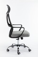 Kontoritool Nigel, hall price and information | Office chairs | hansapost.ee