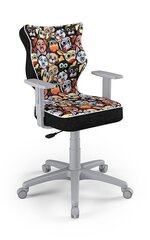 Детское офисное кресло Entelo Duo ST28 5, многоцветное/серое цена и информация | Офисные кресла | hansapost.ee