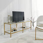 Defektiga toode. TV-laud Kalune Design Basic TV501, kuldset värvi цена и информация | Defektiga tooted | hansapost.ee