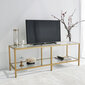 Defektiga toode. TV-laud Kalune Design Basic TV501, kuldset värvi hind ja info | Defektiga tooted | hansapost.ee