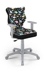 Детское офисное кресло Entelo Duo ST30 5, многоцветное/серое цена и информация | Офисные кресла | hansapost.ee