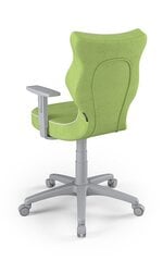 Kontoritool Entelo Duo VS05 6, roheline/hall цена и информация | Офисные кресла | hansapost.ee