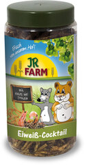 Näriliste toidulisand JR protein cocktail box, 75 g hind ja info | Toit väikeloomadele | hansapost.ee