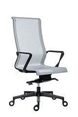 Офисное кресло Wood Garden Epic, серое/черное цена и информация | Офисные кресла | hansapost.ee
