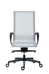 Офисное кресло Wood Garden Epic, серое/черное цена и информация | Офисные кресла | hansapost.ee