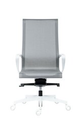 Офисное кресло Wood Garden Epic, серое/белое цена и информация | Офисные кресла | hansapost.ee