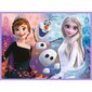 Pusle-mäng Trefl Frozen (Igavene talv 2), 78 tk цена и информация | Pusled lastele ja täiskasvanutele | hansapost.ee
