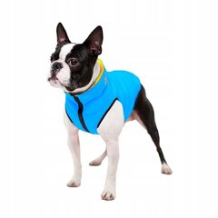 Kahepoolne koerajope AiryVest, erinevad suurused price and information | Clothes for dogs | hansapost.ee