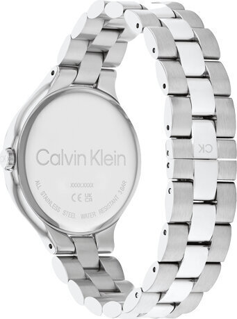 Käekell naistele Calvin Klein 25200128 hind ja info | Käekellad naistele | hansapost.ee