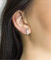 Hõbedased ümmargused kõrvarõngad Beneto, tsirkoonidega AGUC2378L цена и информация | Kõrvarõngad | hansapost.ee