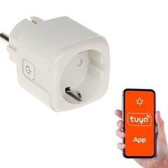 GENWAY УМНЫЙ ДОМ WIFI УМНАЯ РОЗЕТКА/ATLO-P1-TUYA GENWAY цена и информация | Выключатели, розетки | hansapost.ee