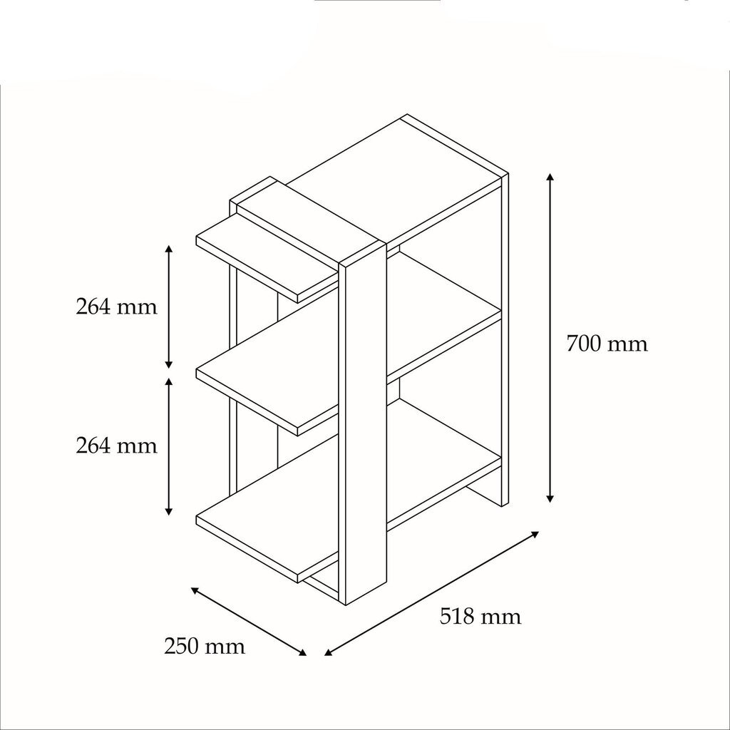 Eraldiseisev riiul Kalune Design Gaye, pruun/valge цена и информация | Riiulid | hansapost.ee