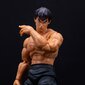 Kollektsioneeritav liikuv figuur koos aksessuaaridega Street Fighter Fei-Long цена и информация | Mänguasjad poistele | hansapost.ee