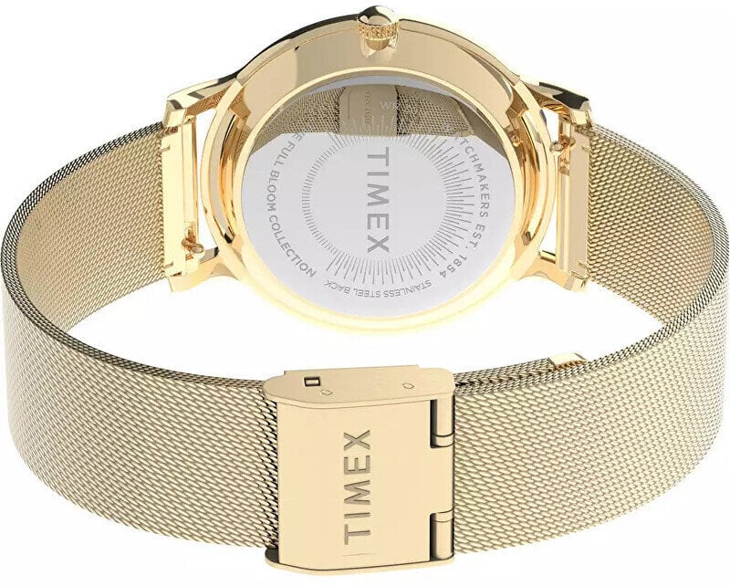 Timex hind ja info | Käekellad naistele | hansapost.ee