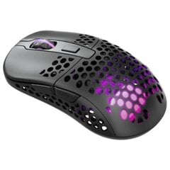 Hiir Xtrfy M42 Wireless RGB, Black цена и информация | Мыши | hansapost.ee