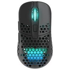 Hiir Xtrfy M42 Wireless RGB, Black цена и информация | Мыши | hansapost.ee