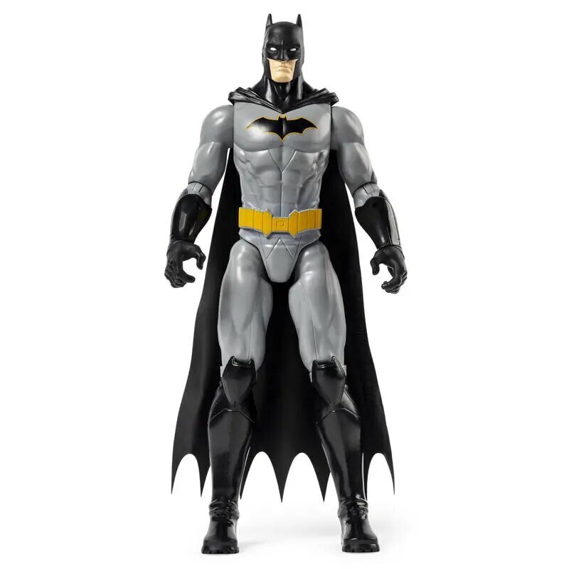 Figuur Batman, 30 cm цена и информация | Mänguasjad poistele | hansapost.ee