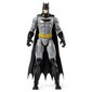 Figuur Batman, 30 cm цена и информация | Mänguasjad poistele | hansapost.ee