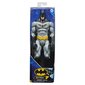 Figuur Batman, 30 cm цена и информация | Mänguasjad poistele | hansapost.ee