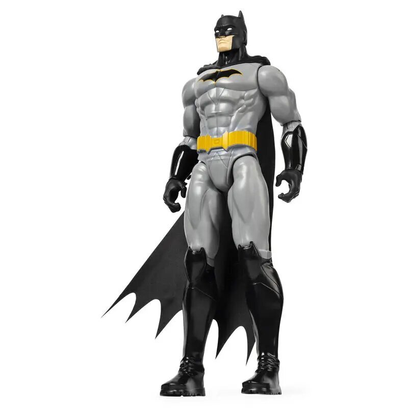 Figuur Batman, 30 cm цена и информация | Mänguasjad poistele | hansapost.ee