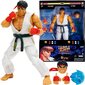 Kollektsioneeritav liikuv figuur koos aksessuaaridega Street Fighter Ryu цена и информация | Mänguasjad poistele | hansapost.ee