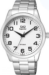 Мужские часы Q&Q C23A-007VY (Ø 44 mm) цена и информация | Мужские часы | hansapost.ee