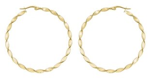 Круглые позолоченные серьги Troli, 2-5 см  цена и информация | Troli Для женщин | hansapost.ee