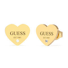 Стальные серьги в форме сердца Guess Trendy JUBE02182JWYG цена и информация | Серьги | hansapost.ee