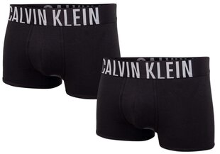 Meeste aluspüksid Calvin Klein, 2 paari, must 000NB2602A UB1 hind ja info | Aluspesu meestele | hansapost.ee