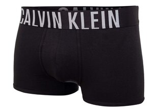 Мужские трусы Calvin Klein, 2 пары, черные 000NB2602A UB1 цена и информация | Мужские трусы | hansapost.ee